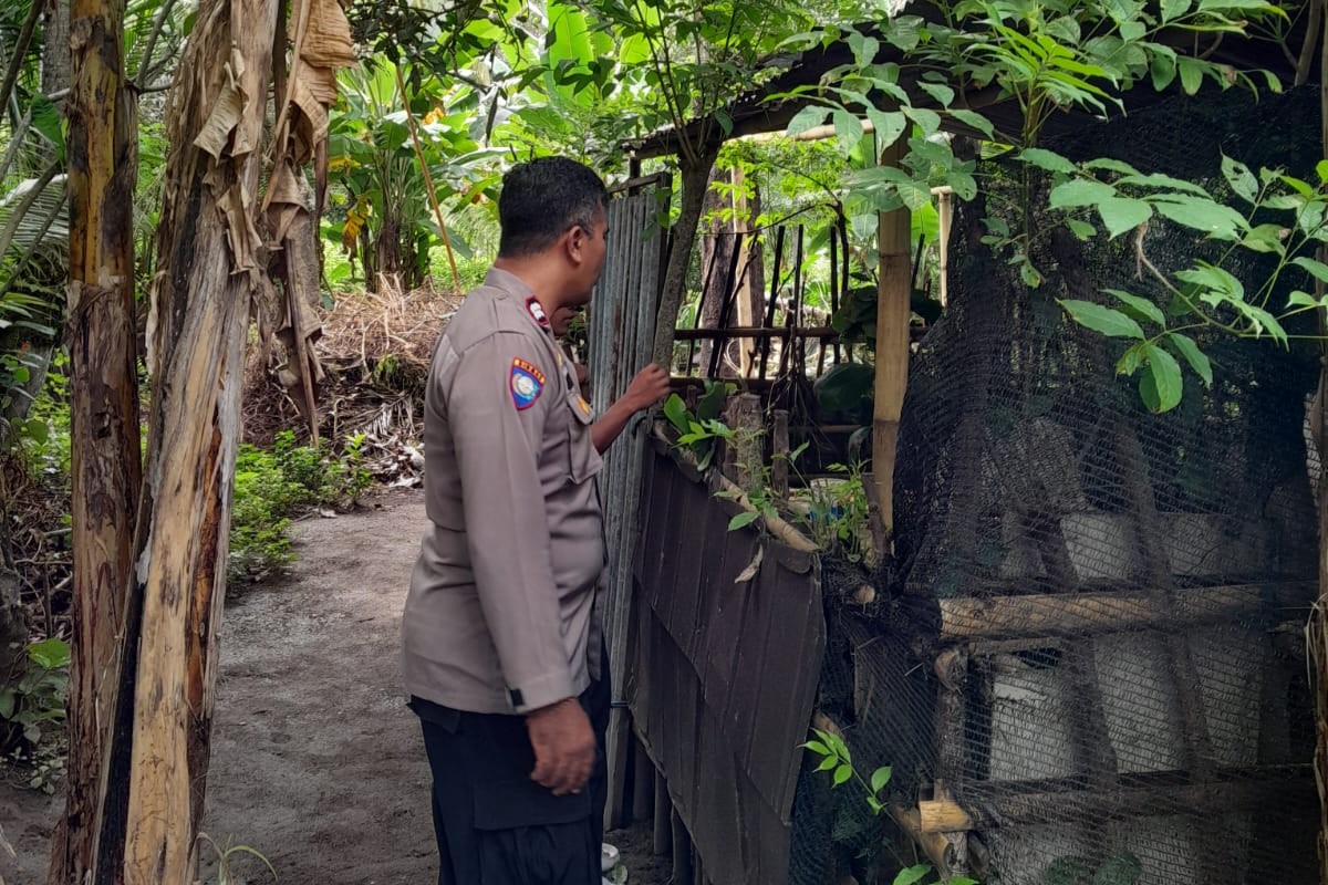Polsek Batulayar Perkuat Ketahanan Pangan Lewat Edukasi Warga Senggigi (1) Polsek Batulayar Perkuat Ketahanan Pangan Lewat Edukasi Warga Senggigi
