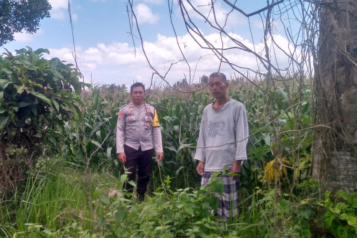 Polsek Kuripan Dorong Ketahanan Pangan Lewat Pemanfaatan Lahan Desa Jagaraga (1) Polri Hadir Bantu Petani Jagaraga Tingkatkan Produktivitas Lahan Pertanian