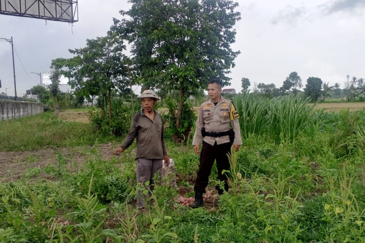 WhatsApp Image 2025-09-18 at 15.08.18 (1) Bhabinkamtibmas Terong Tawah Dorong Pemanfaatan Pekarangan untuk Ketahanan Pangan