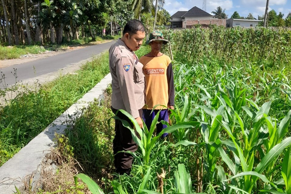 WhatsApp Image 2025-09-19 at 10.46.57 Kepolisian Kediri Bina Petani Jagung Gelogor, Perkuat Ekonomi dan Pangan Lokal