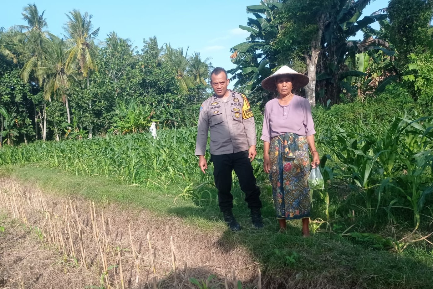 WhatsApp Image 2025-09-22 at 16.03.56 Kunjungan Humanis Bhabinkamtibmas di Kuranji, Pekarangan Jadi Sumber Pangan
