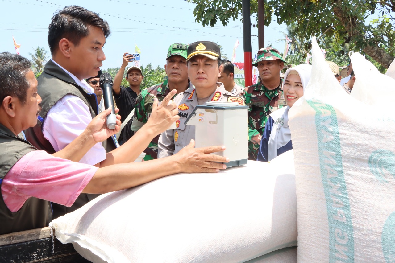 WhatsApp Image 2025-09-27 at 15.16.44 Lombok Barat Produksi 20 Ton Jagung dalam Panen Serentak, Bulog Pastikan Serap Hasil Petani