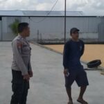 Gudang Jagung CV Galatia Disorot Polisi, Dukungan ke Bulog Jadi Harapan Bersama