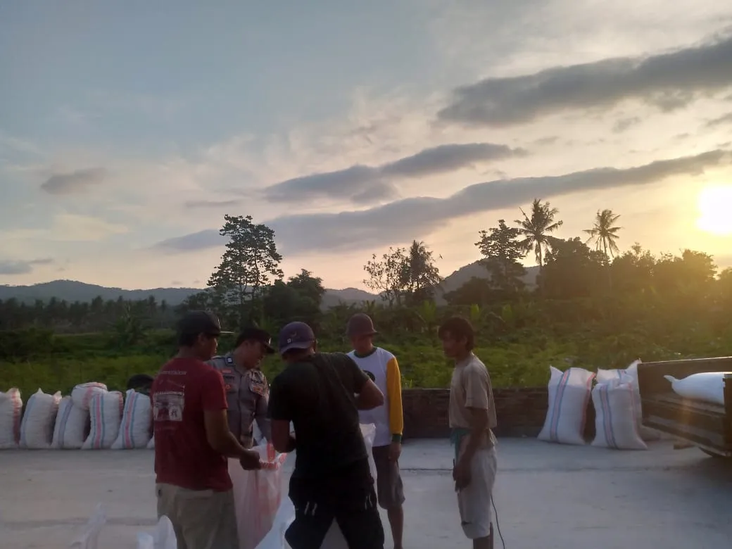 WhatsApp Image 2025-10-04 at 23.52.32_result Jagung Petani Gerung Lolos Uji Kualitas, Siap Diserap Bulog NTB