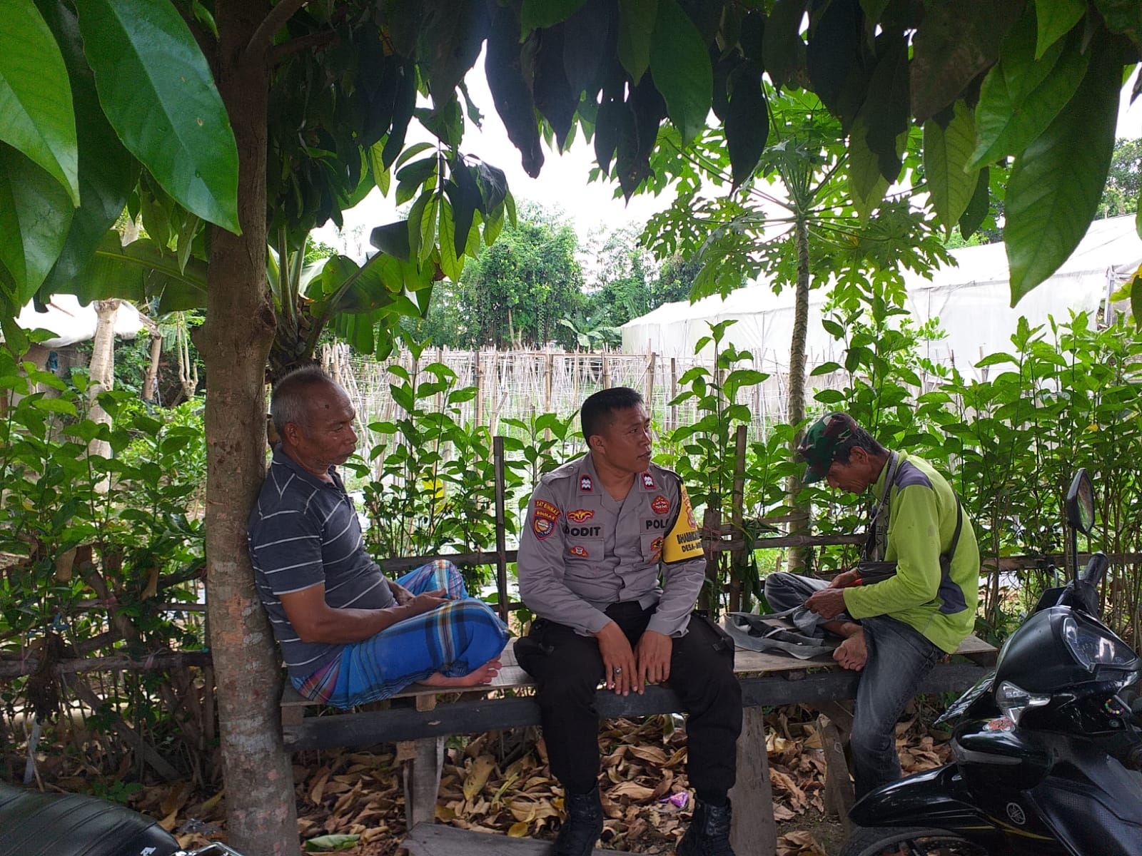 WhatsApp Image 2025-10-05 at 11.32.04 Bhabinkamtibmas Kuripan Ajak Petani Jagaraga Optimalkan Lahan Pekarangan