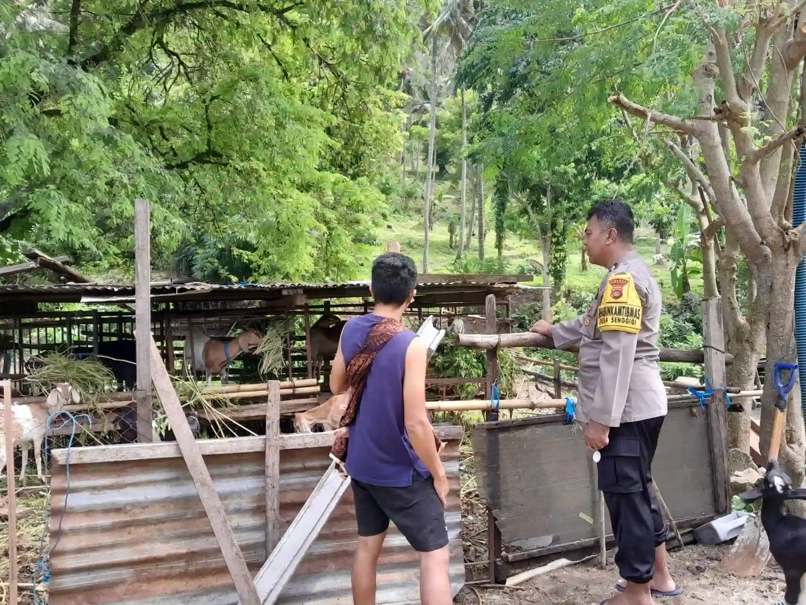 WhatsApp Image 2025-10-06 at 14.46.34_result Sinergi Polsek Batulayar dan Warga Senggigi Wujudkan Desa Mandiri Pangan