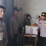 Petani Lega! Jagung Kering Terserap Bulog dengan Harga Acuan Pemerintah
