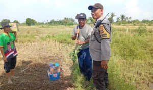 Sinergi Polri dan Petani Wujudkan Ketahanan Pangan di Karang Bongkot