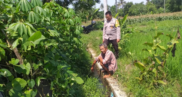 Petani Jagaraga Didorong Polri Tanam Padi dan Jagung untuk Pangan Lokal