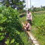 Petani Jagaraga Didorong Polri Tanam Padi dan Jagung untuk Pangan Lokal