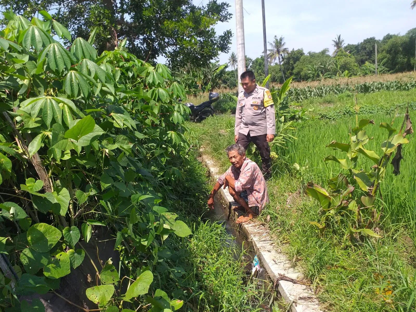 WhatsApp Image 2025-10-24 at 15.38.21_result Petani Jagaraga Didorong Polri Tanam Padi dan Jagung untuk Pangan Lokal