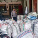 Sinergi Polri–Petani di Beleka: Kualitas Jagung Dijaga Ketat untuk BULOG