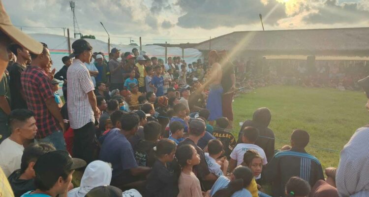 Ajang Pelestarian Budaya Lombok: Roadshow Peresean 2025 Dimulai di Labuapi
