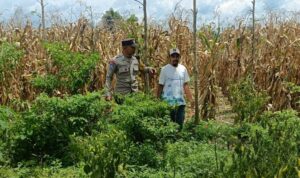 Langkah Praksis Polsek Gerung: Edukasi Pemanfaatan Lahan Kosong