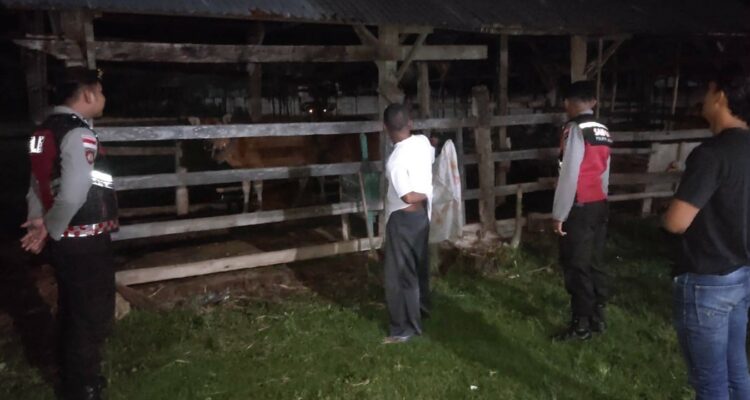 Apresiasi Warga Mengalir, Polisi Hadir di Tengah Sunyi Dini Hari Amankan Hewan Ternak