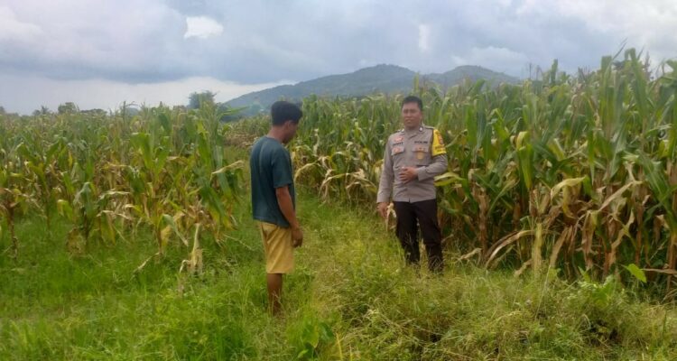 Sinergi Polri dan Warga Wujudkan Kemandirian Pangan di Lombok Barat