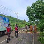 Keselamatan Prioritas: Polsek Sekotong Amankan dan Bersihkan Pohon Tumbang