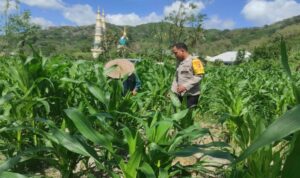 Langkah Polsek Gerung Perkuat Kemandirian Pangan